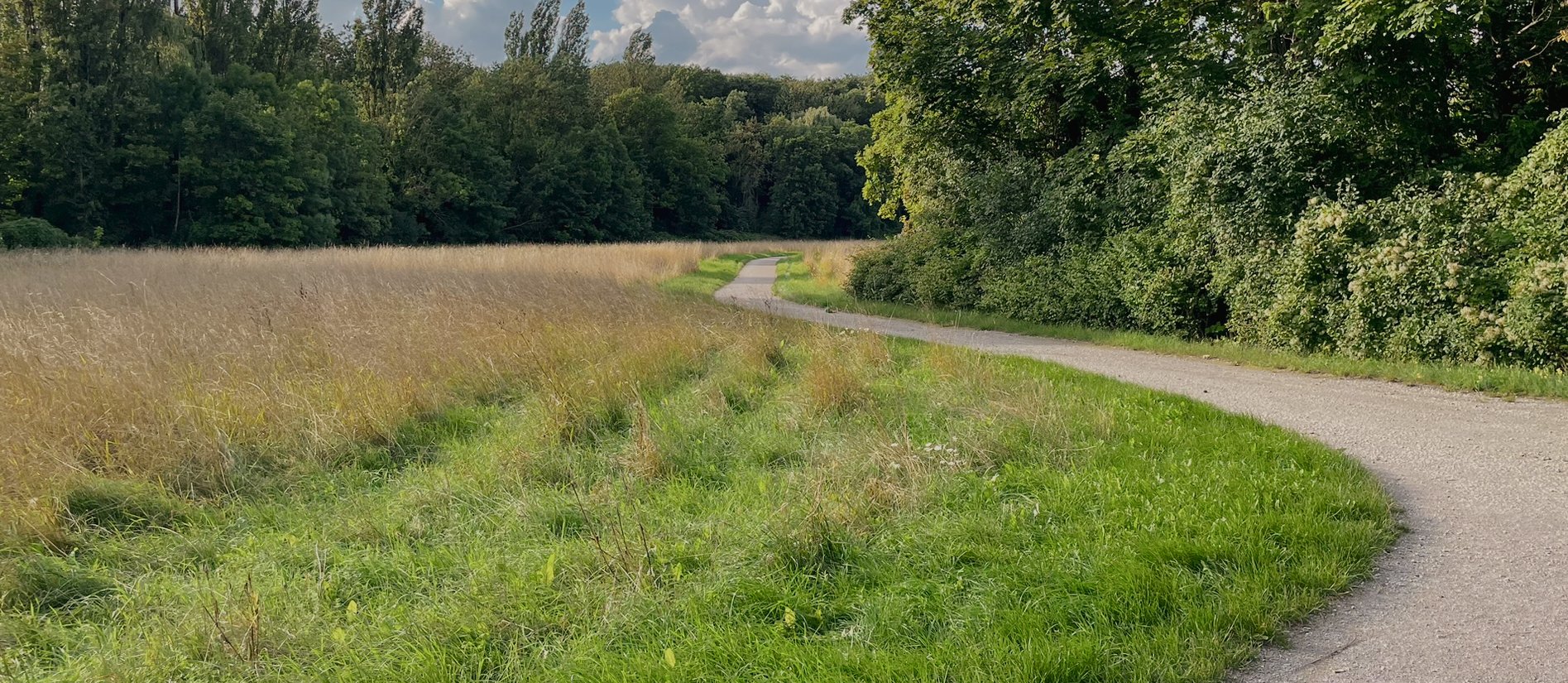 Fahrradweg in Harsum