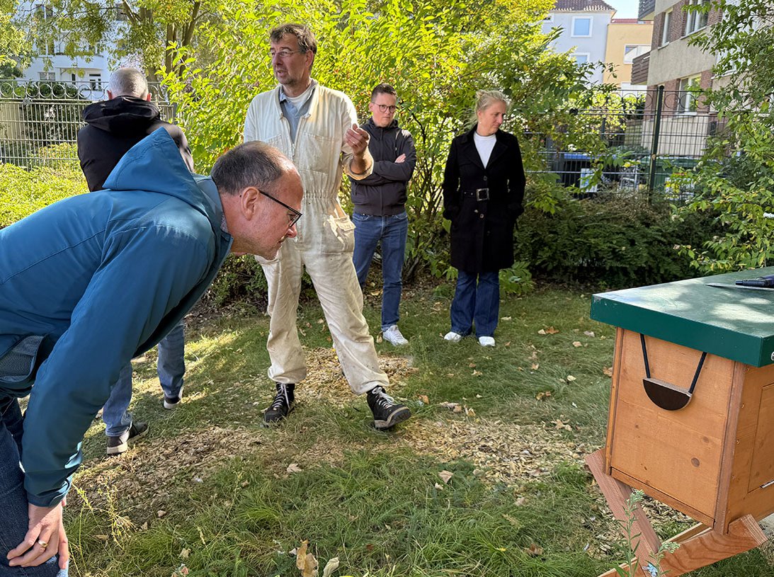 Mitarbeitende des Heimatwerks scheun auf den Bienenstock im innenhof eines Mietshauses