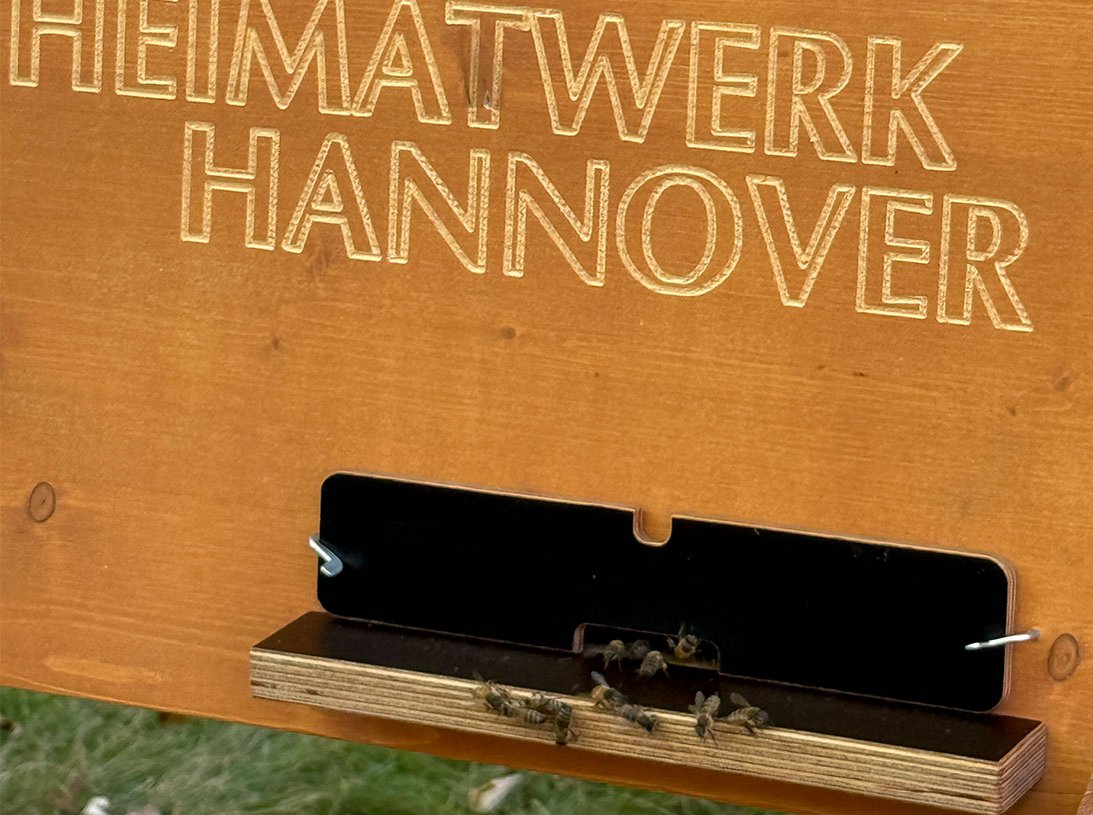 Nahaufahme Einflugloch der Bienen