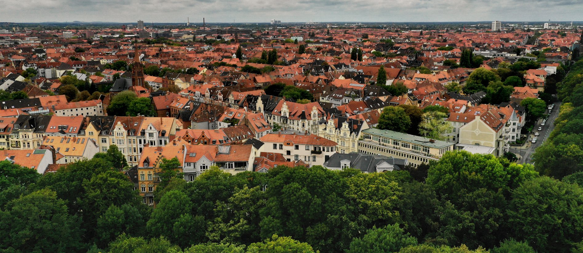 Blick über die Dächer der List mit Eilenriede