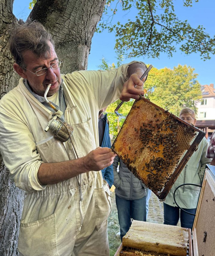 Imker mit Bienenwaben