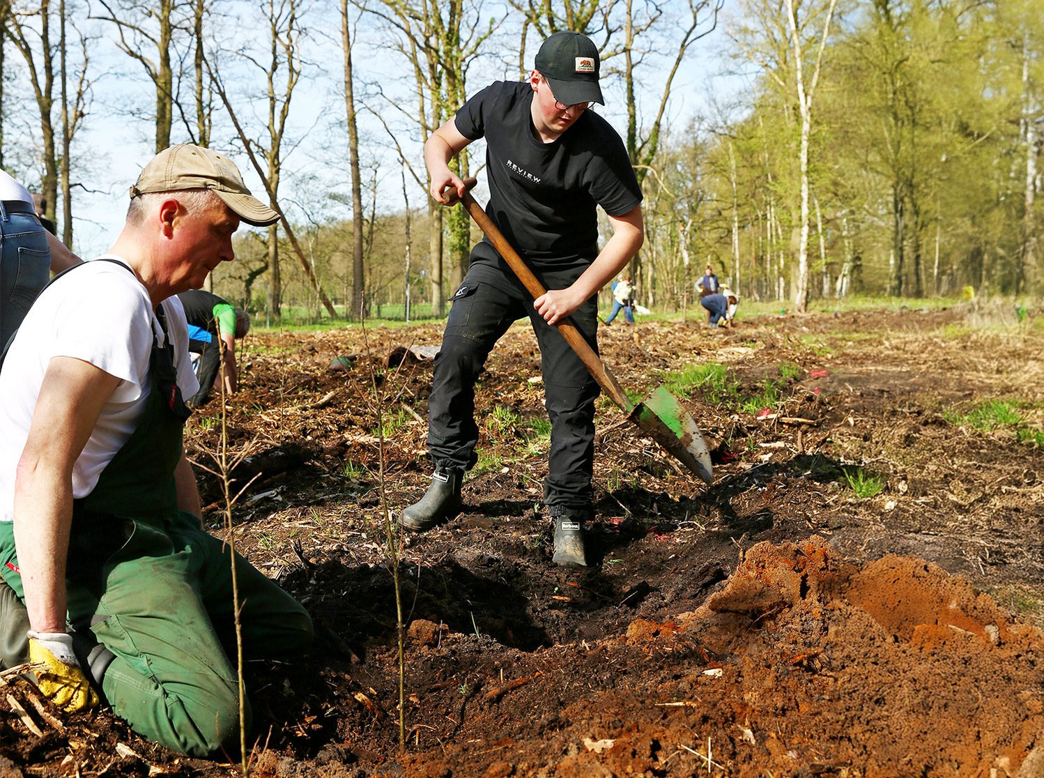 Cord Holger Hecht und Niklas Meyer pflanzen einen Baum